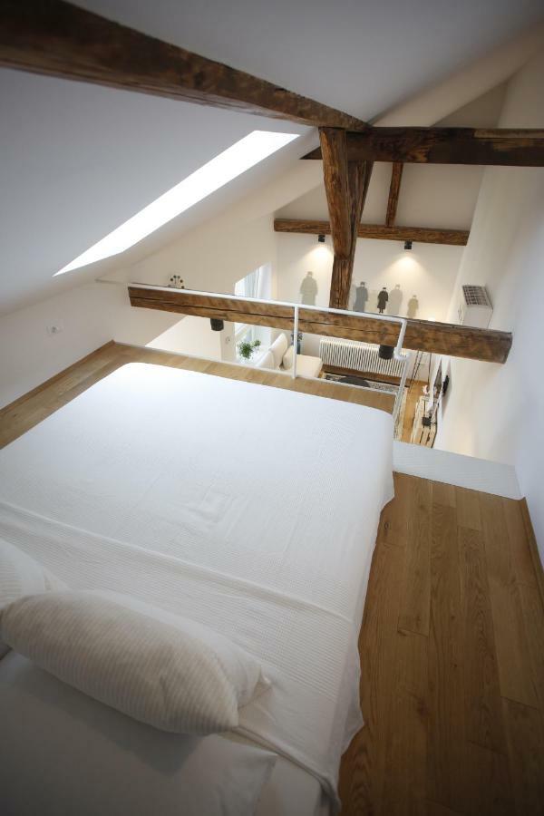Studio Apartman Olaf Ζάγκρεμπ Εξωτερικό φωτογραφία