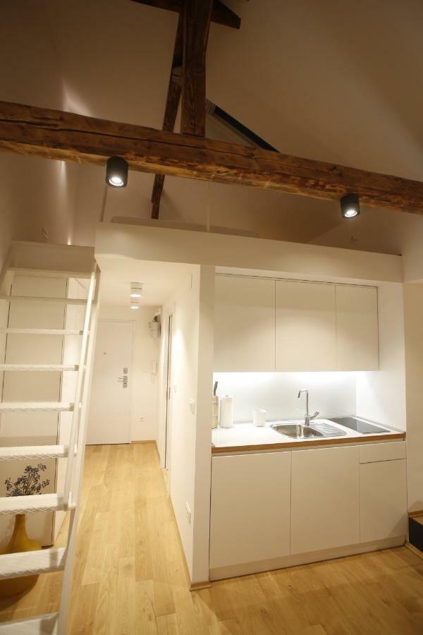 Studio Apartman Olaf Ζάγκρεμπ Εξωτερικό φωτογραφία